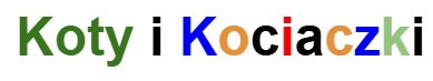 Kotki i Kociaczki
